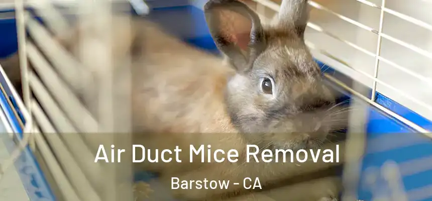 Air Duct Mice Removal Barstow - CA