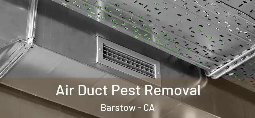  Air Duct Pest Removal Barstow - CA