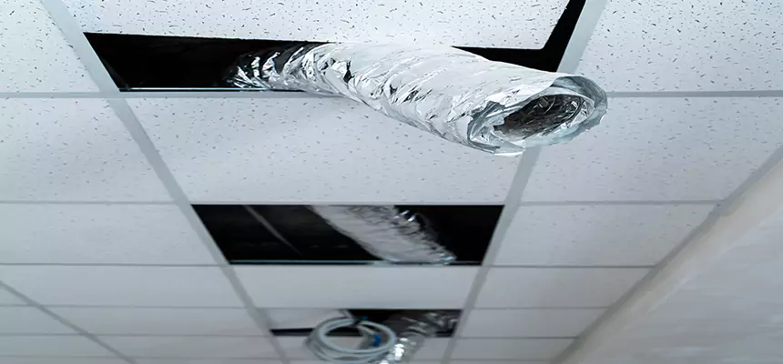 Affordable HVAC Sanitizing After Pest Removal in Barstow