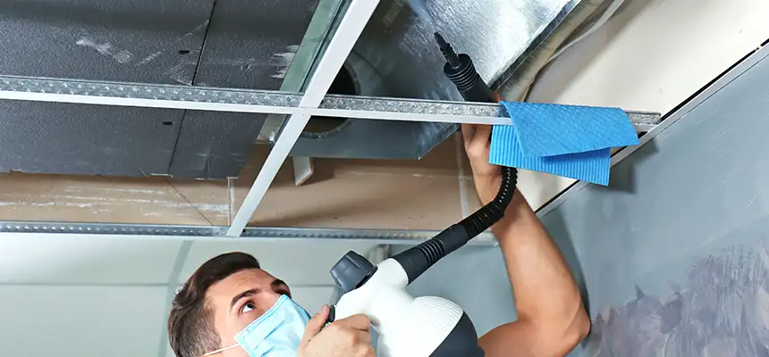 Our Air Duct Rodent Removal Services in Barstow, CA