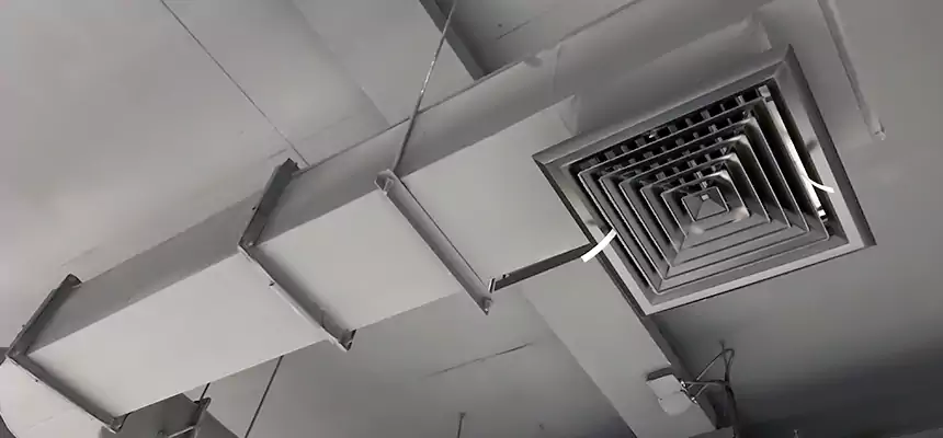 Our Pest Removal From Ducts Services in Barstow, CA