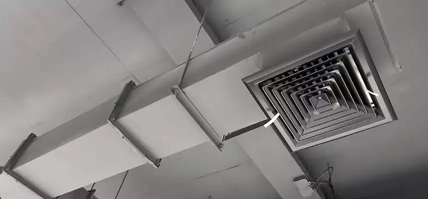 Our Rodent Droppings In Vents Services in Barstow, CA