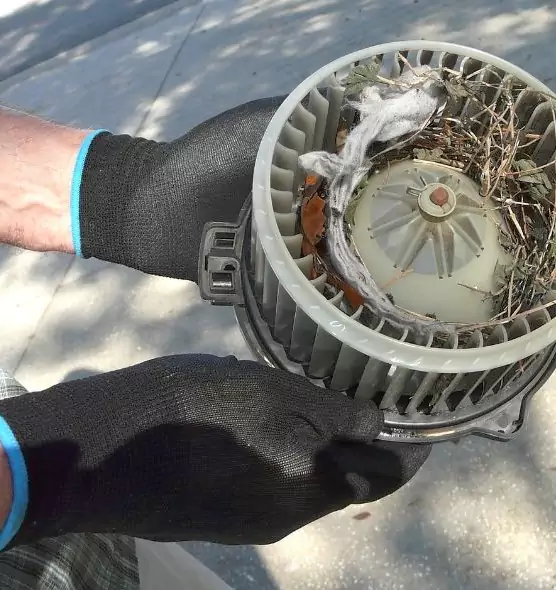 About Air Duct Rat Removal in Barstow, CA