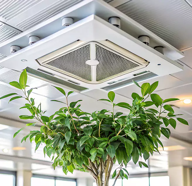 Why Homeowners & Businesses Trust Us in Barstow, CA